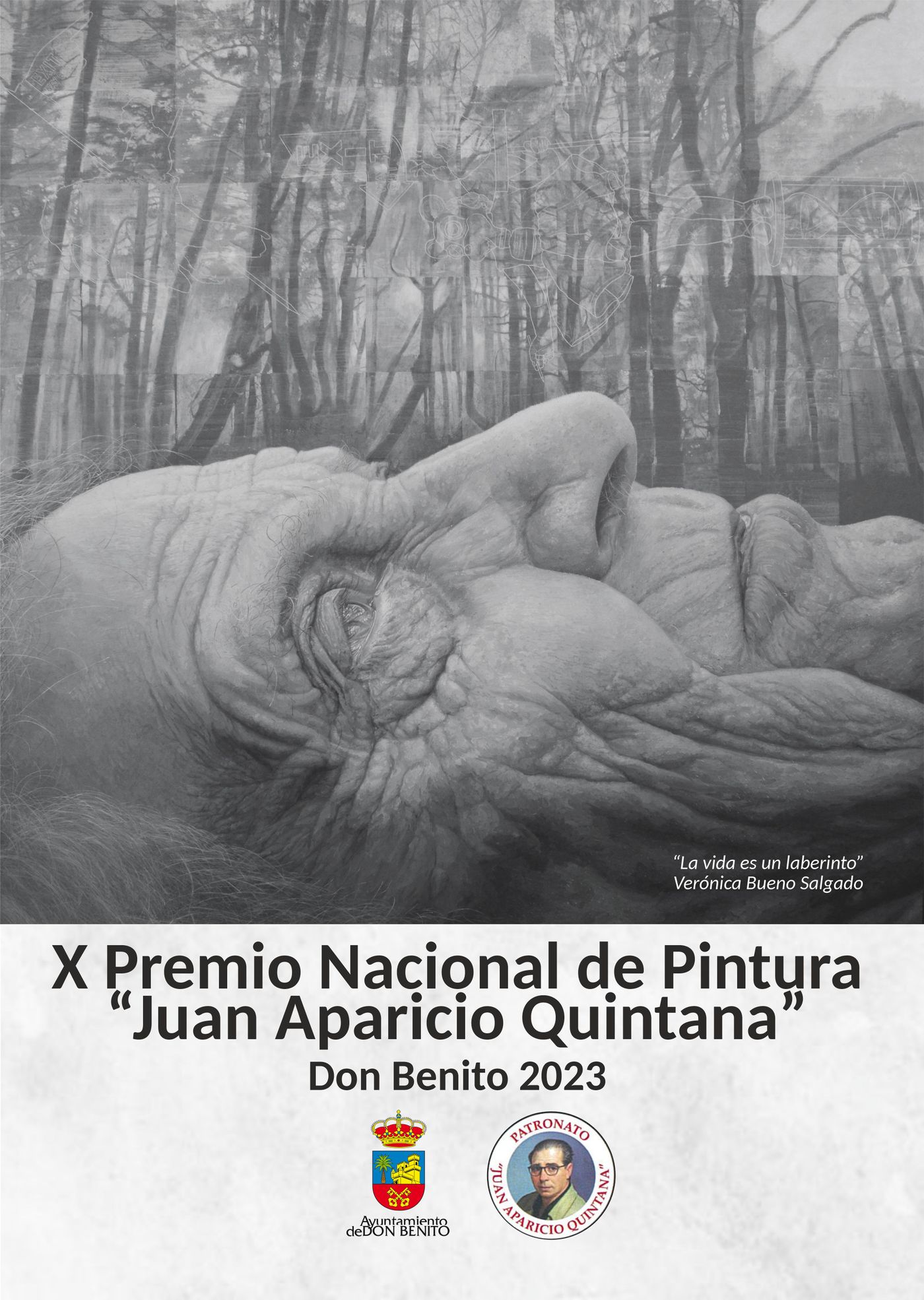 X CERTAMEN NACIONAL DE PINTURA "JUAN APARICIO QUINTANA" 10