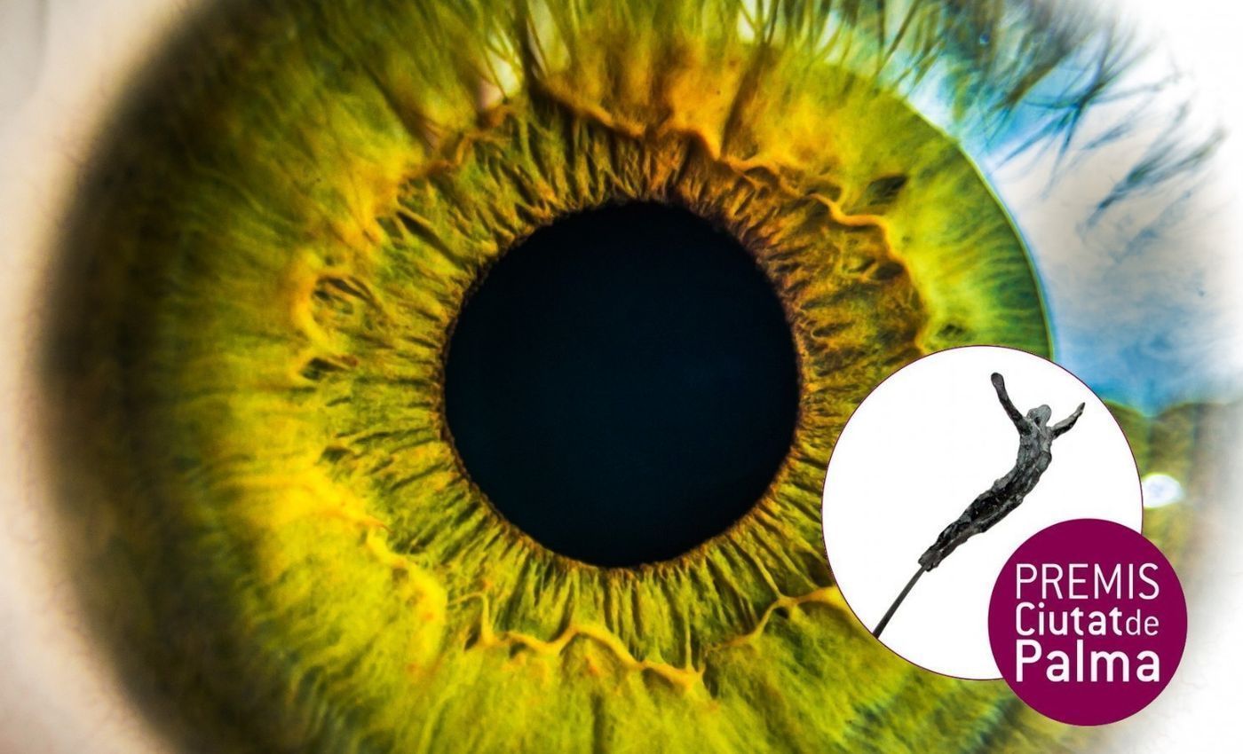 PREMIO CIUDAD DE PALMA ANTONI GELABERT D'ARTS VISUALS 2025 