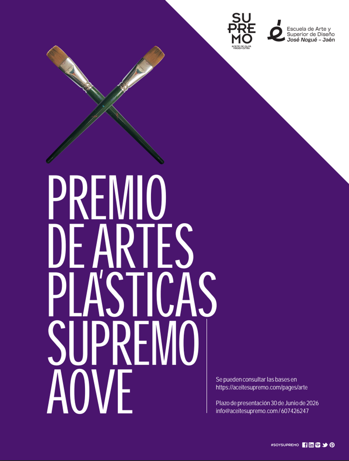 X PREMIO DE ARTES PLÁSTICAS AOVE SUPREMO 
