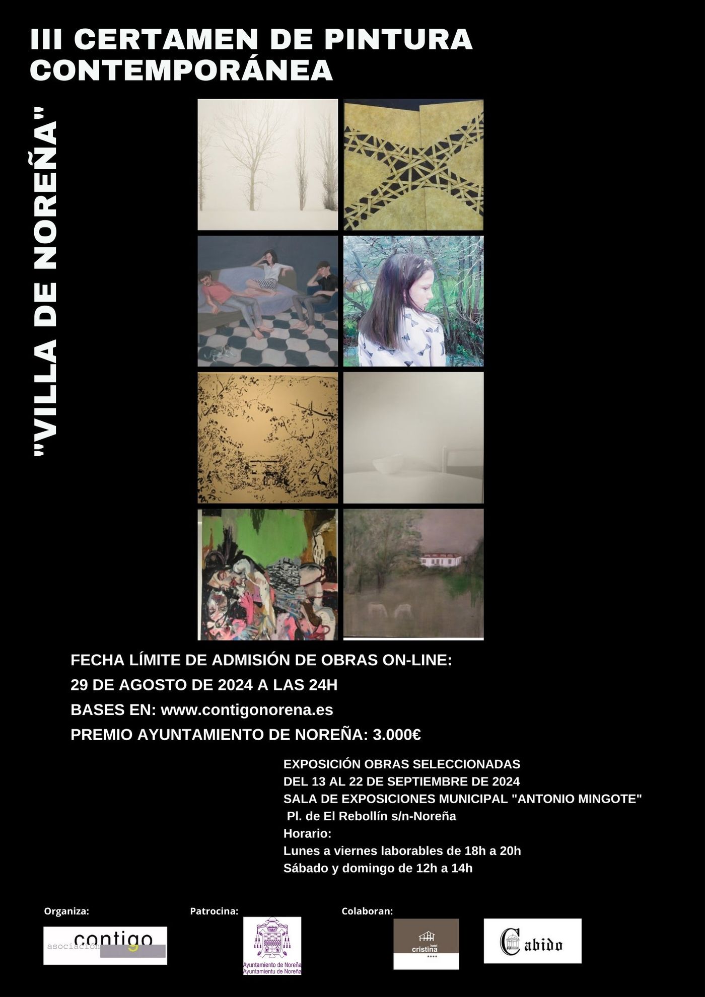 III CERTAMEN NACIONAL DE PINTURA CONTEMPORANEA VILLA DE NOREÑA