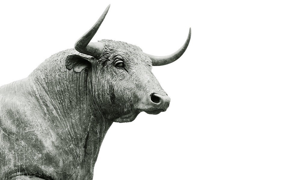 CONCURSO DE FOTOGRAFIA DE LA RAZA MORUCHA 6