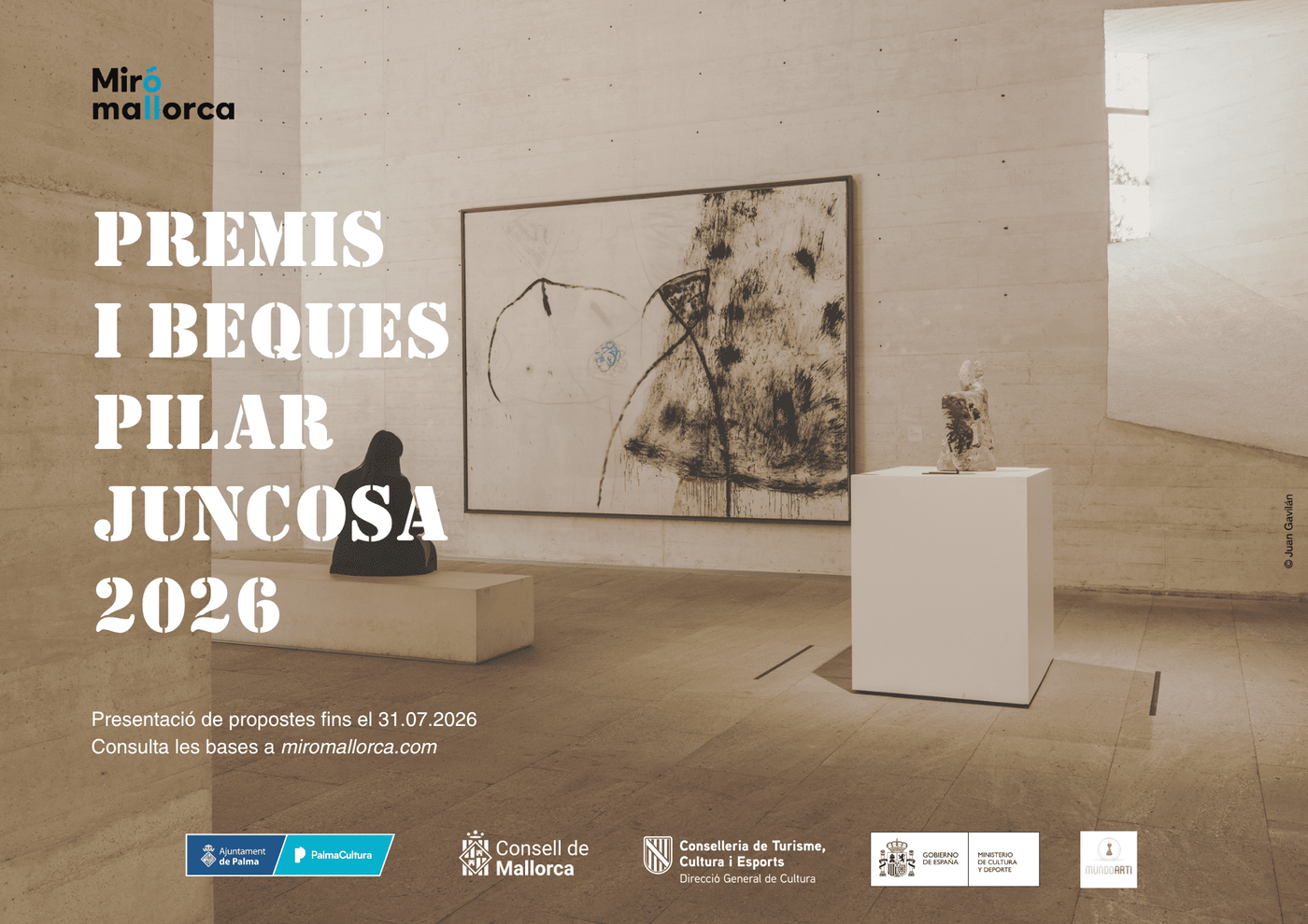 PREMIO BIENAL JUNCOSA DE EDICIÓN -  2026 