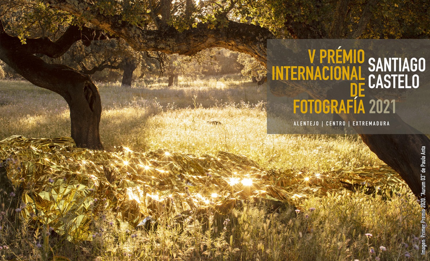 V PREMIO INTERNACIONAL DE FOTOGRAFIA " SANTIAGO CASTELO" 