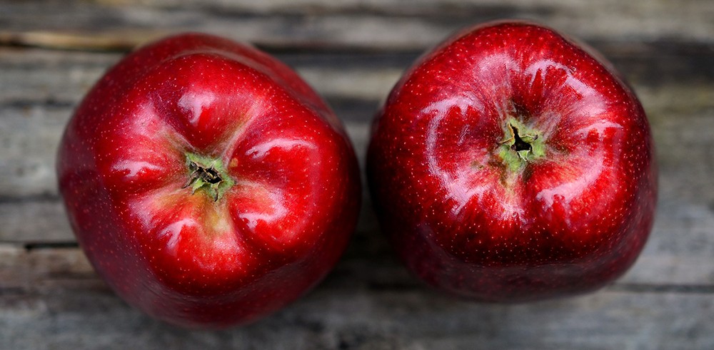 PREMIO URANO CRECIMIENTO PERSONAL Y SALUD NATURAL 1