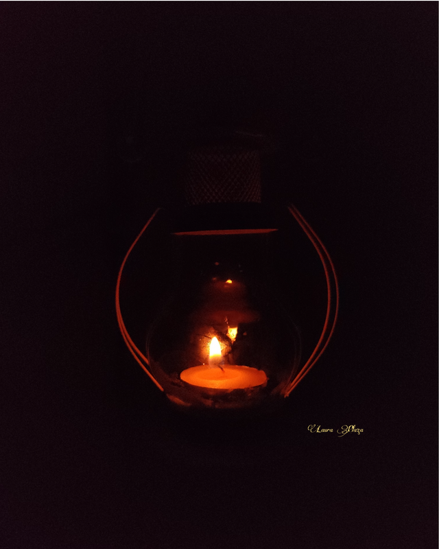 Vela noche