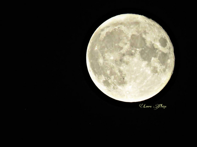 Luna nave