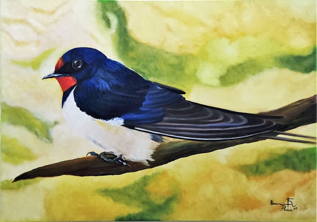 Golondrina Feliz