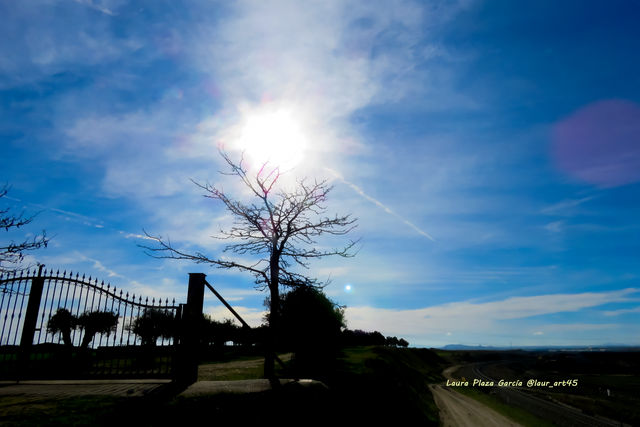 Árbol luz