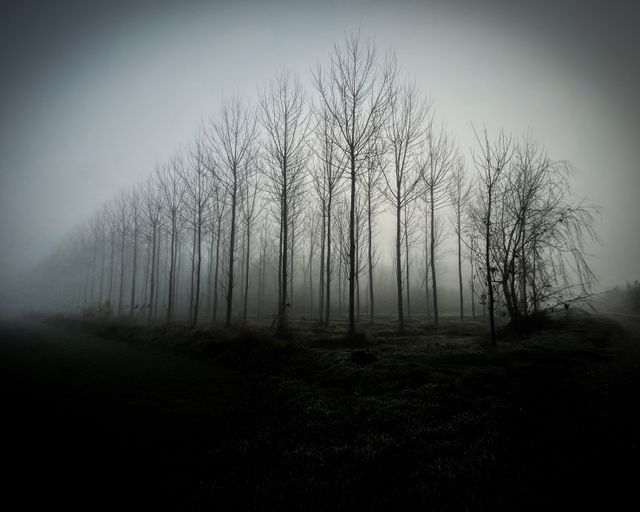raices