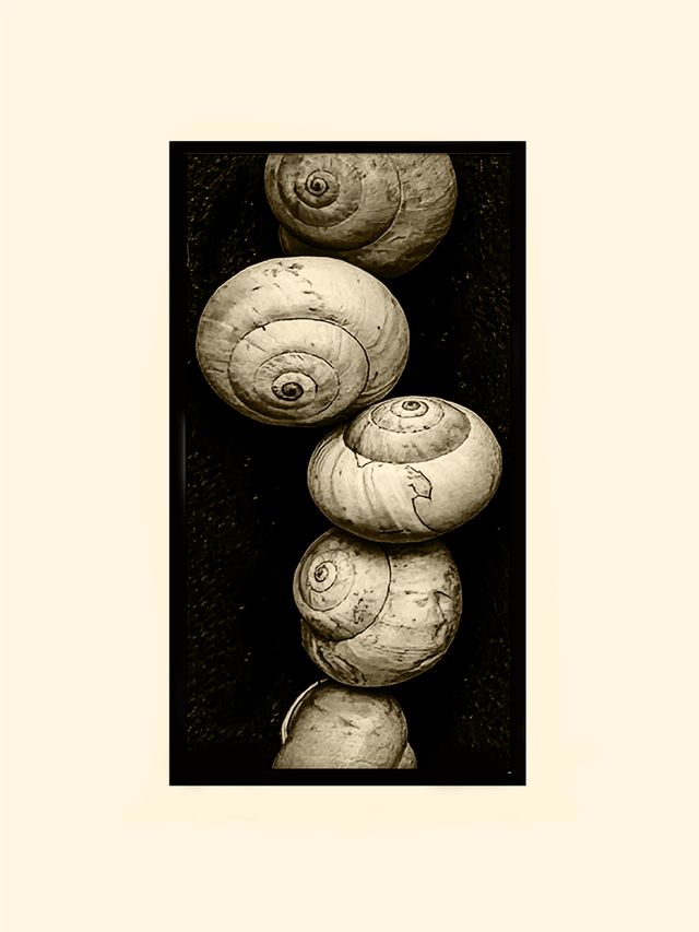 Caracoles