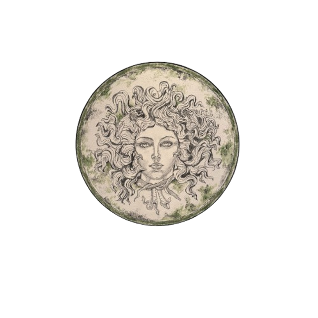 La transformación de Medusa.