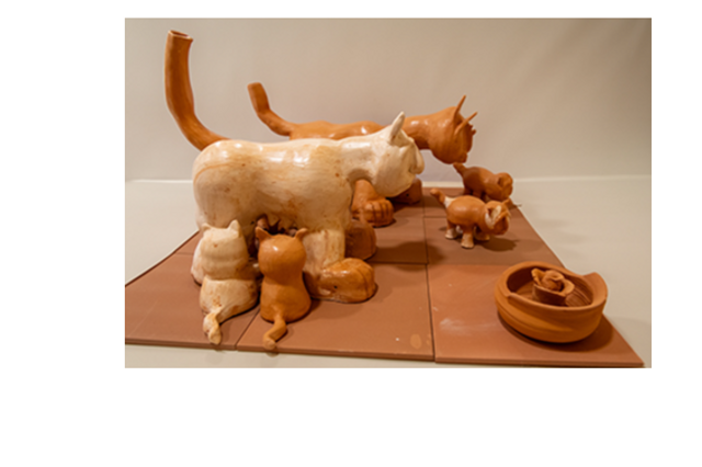 FAMILIA DE GATOS