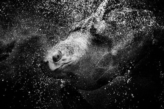 Visiones Acústicas.