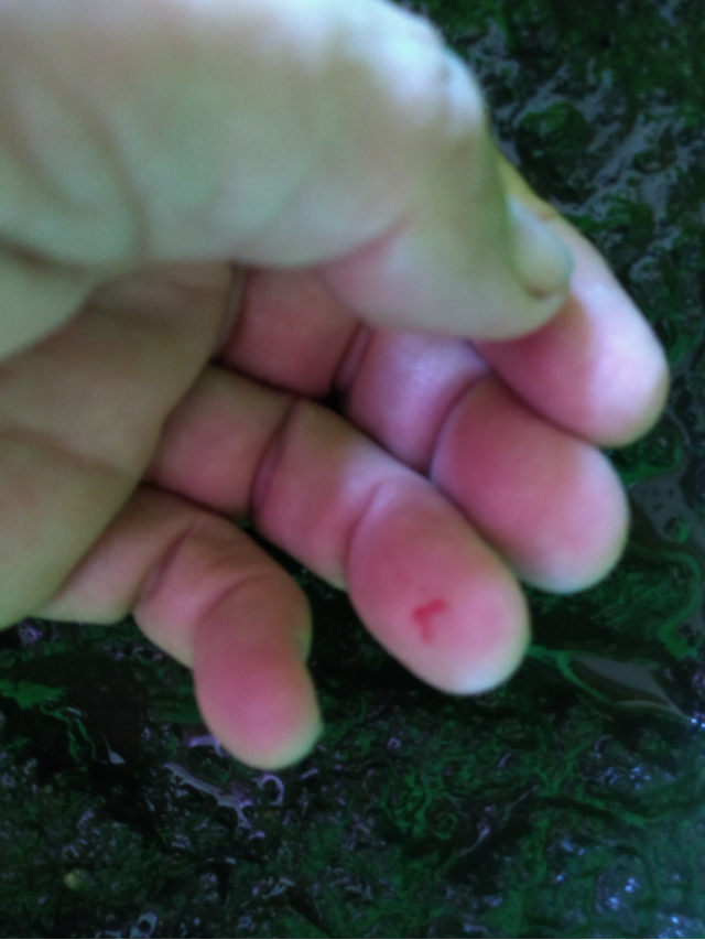 La mano en el barro-1