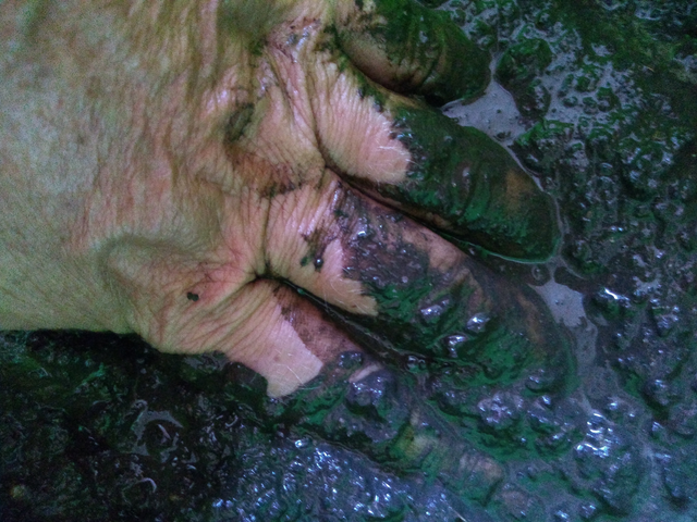 La mano en el barro-2