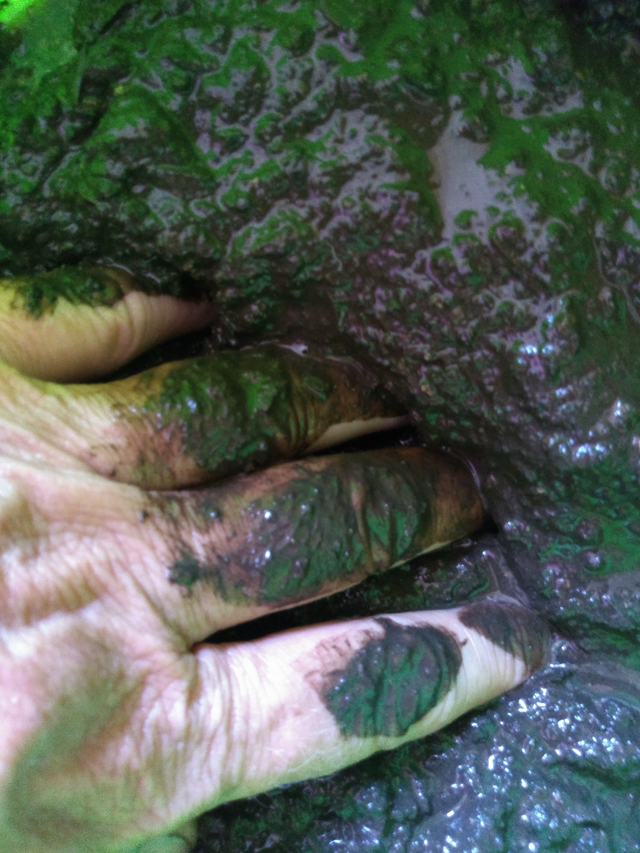 La mano en el barro-3