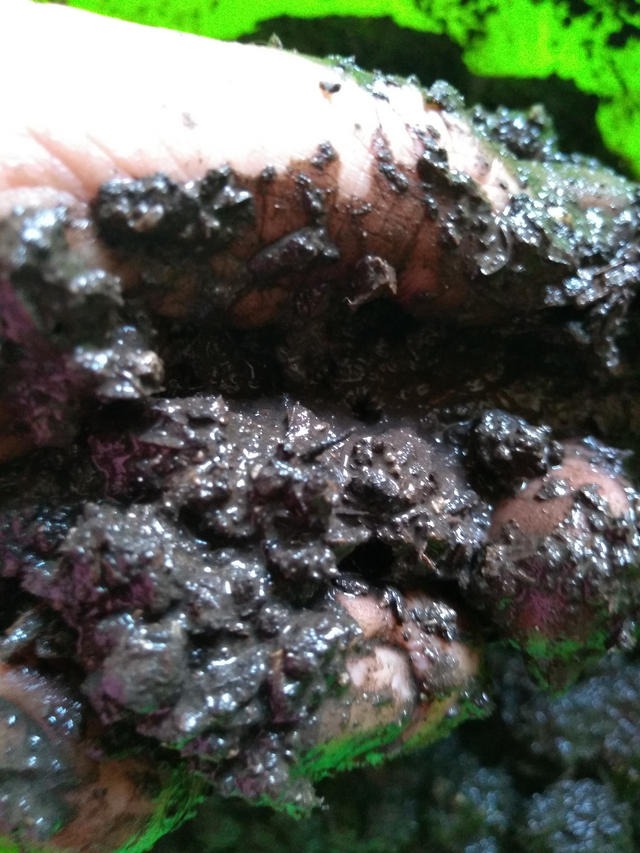 La mano en el barro-4