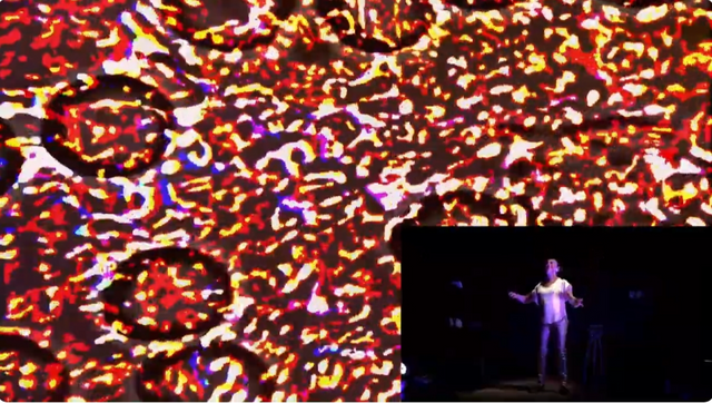 The starchild-El cuerpo dentro del cuerpo