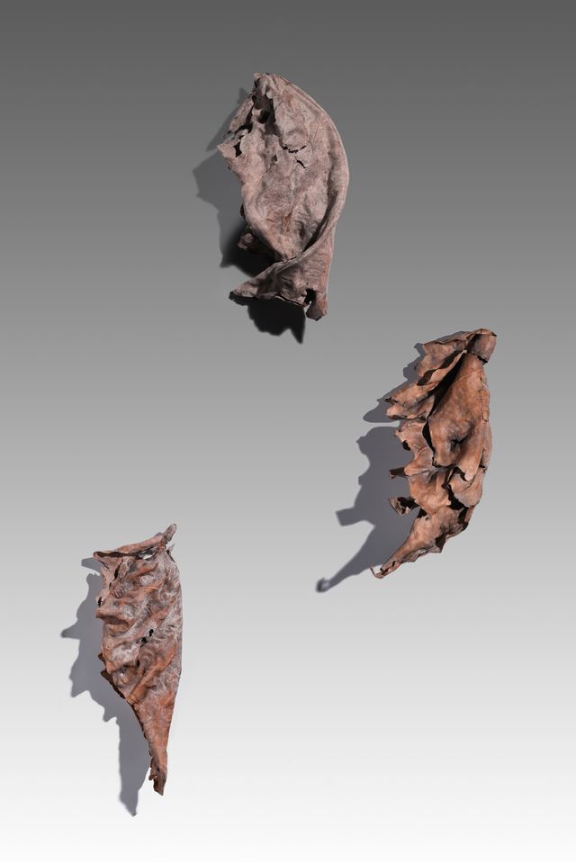 Hoja marchita
