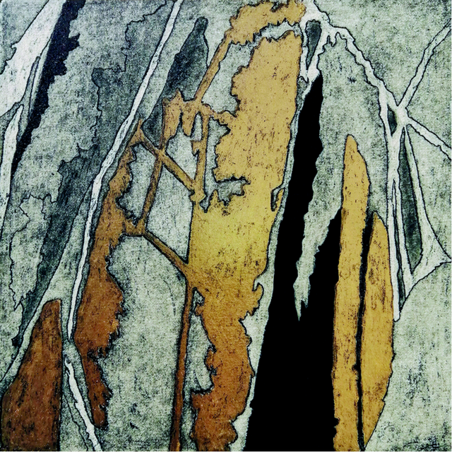 Il bosco delle anime