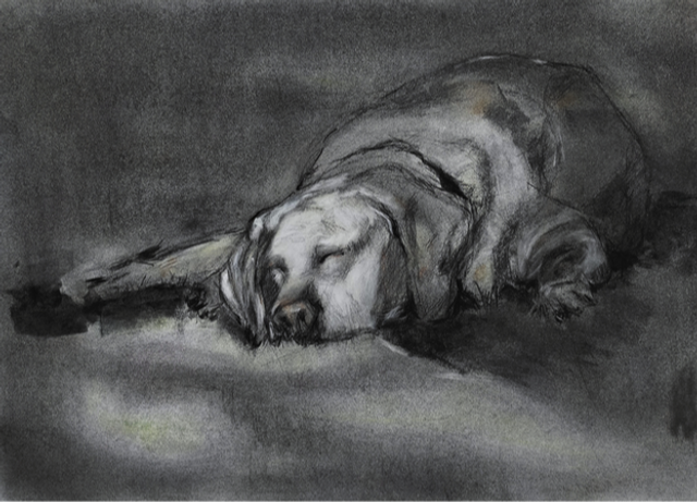 Avena. Dulces sueños