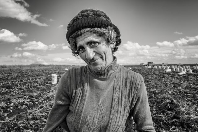 RECOLECTORA DE PATATAS