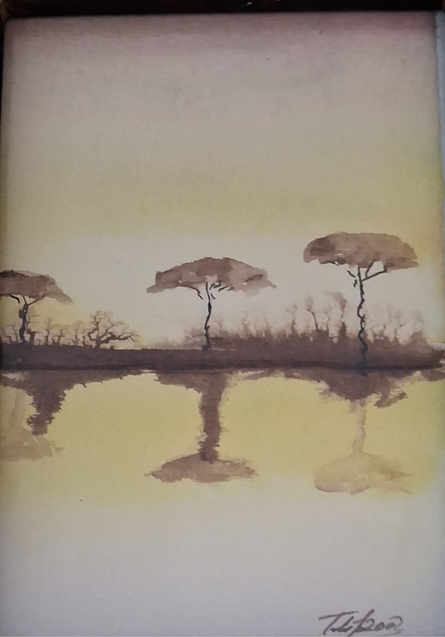 MI JARDÍN HOLÍSTICO