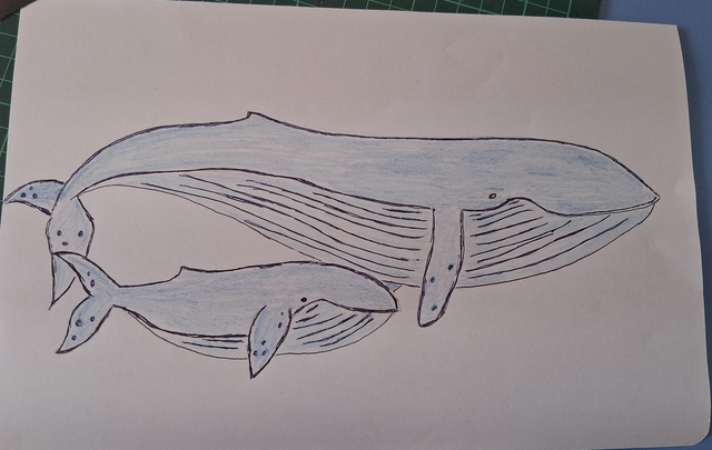 L'abraçada de l'oceà