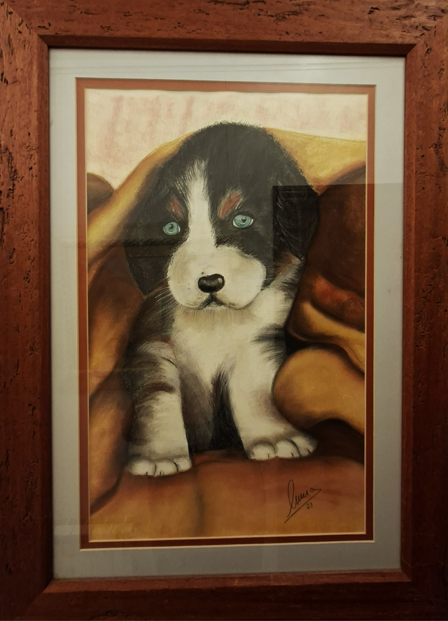 Cachorro triston
