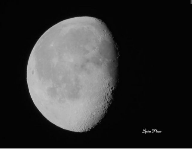 Luna nocturna