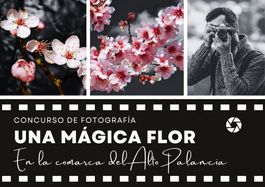 CONCURSO DE FOTOGRAFÍA: UNA MÁGICA FLOR EN LA COMARCA DEL ALTO PALANCIA