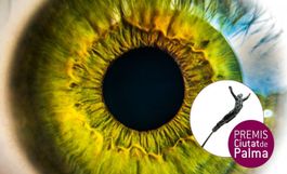 PREMIO CIUDAD DE PALMA ANTONI GELABERT D'ARTS VISUALS 2025